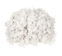 sourcing map 4.6oz Preserved Reindeer Moss, White Decorative Artificial Fake Moss for Potted Plants Indoor Crafts Lichen Centerpieces Decor