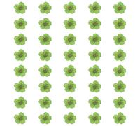 sourcing map 40Pcs Dried Pressed Flowers, 0.24-0.31" Colorful Dried Pressed Narcissus Flowers Bulk for Nail Art Resin Jewelry Candle Card Making Scrapbook Phone Case Decoration, Green