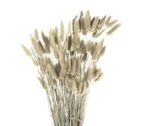 sourcing map 50 Pcs Faux Pampas Grass,17"/43cm Fake Pampas Grass Decor for Living Room Party Wall Vase Wedding Decoration, Brown