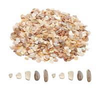 sourcing map 500g Crushed Shells Irregular Natural Mosaic Sea Shell Fragments for Home Decoration Art Crafts DIY Projects Beige