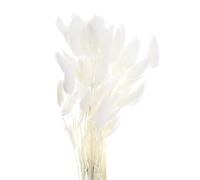 sourcing map 50pcs Natural Dried Pampas Rabbit Bunny Tails Dried Flowers 18" Mini Pampas Grass Lagurus Ovatus Bunch for Home Floral Decor, White
