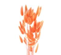 sourcing map 50pcs Natural Dried Pampas Rabbit Bunny Tails Dried Flowers 18" Mini Pampas Grass Lagurus Ovatus Bunch for Home Floral Decor, Orange