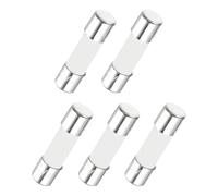 sourcing map 5Pcs Time Delay Fuse Ceramic Fuses Tube 5mm x 20mm 250V 10A Slow Blow Fuse Repair Circuit Boards,Lighting Equipment, Instrumentation,Home Appliance