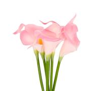 sourcing map 6 Pcs Artificial Calla Lily Fake Flowers, 13 Inch Real Touch Artificial Floral Fake Bouquet for Wedding Bride Shower Gift Home Decor DIY Crafts, Light Pink/Yellow