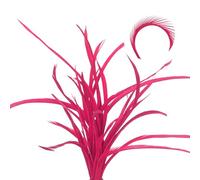 sourcing map 60 Pcs Fly Tying Feathers Bulk, 5.1-6.7 Inch Colorful Stonefly Split Tails and Down Wings Tails Materials Goose Biots Feathers for DIY HandCrafts, Rose