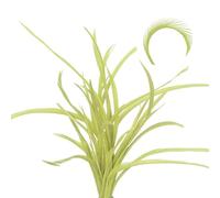 sourcing map 60 Pcs Fly Tying Feathers Bulk, 5.1-6.7 Inch Colorful Stonefly Split Tails and Down Wings Tails Materials Goose Biots Feathers for DIY HandCrafts, Light Green