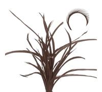 sourcing map 60 Pcs Fly Tying Feathers Bulk, 5.1-6.7 Inch Colorful Stonefly Split Tails and Down Wings Tails Materials Goose Biots Feathers for DIY HandCrafts, Dark Coffee