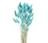 sourcing map 60pcs Natural Rabbit Bunny Tails Dried Flowers 17" Mini Pampas Grass Lagurus Ovatus Bunch for Floral Wedding Decor Christmas, Light Blue