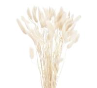 sourcing map 60pcs Natural Rabbit Bunny Tails Dried Flowers 17" Mini Pampas Grass Lagurus Ovatus Bunch for Floral Wedding Decor Christmas, White