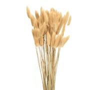sourcing map 60pcs Natural Rabbit Bunny Tails Dried Flowers 17" Mini Pampas Grass Lagurus Ovatus Bunch for Floral Wedding Decor Christmas, Beige