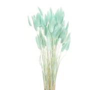 sourcing map 60pcs Natural Rabbit Bunny Tails Dried Flowers 17" Mini Pampas Grass Lagurus Ovatus Bunch for Floral Wedding Decor Christmas, Sky Blue