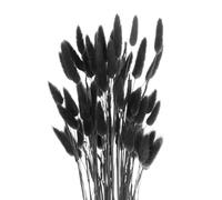 sourcing map 60pcs Natural Rabbit Bunny Tails Dried Flowers 24" Mini Pampas Grass Lagurus Ovatus Bunch for Floral Wedding Decor Christmas, Black