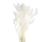 sourcing map 60pcs Natural Rabbit Bunny Tails Dried Flowers 24" Mini Pampas Grass Lagurus Ovatus Bunch for Floral Wedding Decor Christmas, White