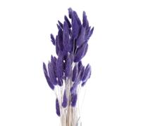 sourcing map 60pcs Natural Rabbit Bunny Tails Dried Flowers 24" Mini Pampas Grass Lagurus Ovatus Bunch for Floral Wedding Decor Christmas, Dark Purple