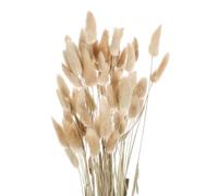 sourcing map 60pcs Natural Rabbit Bunny Tails Dried Flowers 24" Mini Pampas Grass Lagurus Ovatus Bunch for Floral Wedding Decor Christmas, Beige