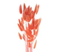 sourcing map 60pcs Natural Rabbit Bunny Tails Dried Flowers 24" Mini Pampas Grass Lagurus Ovatus Bunch for Floral Wedding Decor Christmas, Orange