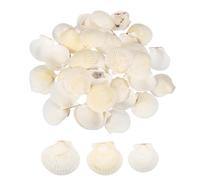 sourcing map 60Pcs Scallop Shells, 1.6"-2" Natural Sea Shells Seashell Bulk for DIY Painting Fish Tank Landscape Beach Theme Party Wedding and Home Decoration, White