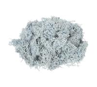 sourcing map 7.4oz Preserved Reindeer Moss, Light Blue Decorative Artificial Fake Moss for Potted Plants Indoor Crafts Lichen Centerpieces Decor