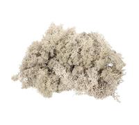 sourcing map 7.4oz Preserved Reindeer Moss, Natural Beige Decorative Artificial Fake Moss for Potted Plants Indoor Crafts Lichen Centerpieces Decor