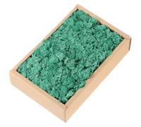 sourcing map 7.8oz Preserved Reindeer Moss, Cyan Decorative Artificial Fake Moss for Potted Plants Indoor Crafts Lichen Centerpieces Decor