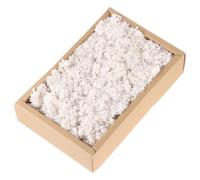 sourcing map 7.8oz Preserved Reindeer Moss, White Decorative Artificial Fake Moss for Potted Plants Indoor Crafts Lichen Centerpieces Decor