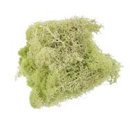 sourcing map 7 OZ Moss Fake Craft Moss Artificial Moss Natural Preserved Moss for Craft Arts Floral DIY Project Wall Wedding Garden Patio Table Terrariums Decoration(Yellow Green)