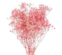 sourcing map Artificial Dried Baby's Breath Flowers 12 Inch Gypsophila Light Pink Natural Baby's Breath Branches for Wedding Party Home Decoration 1 Pcs