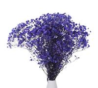 sourcing map Artificial Dried Baby's Breath Flowers 12 Inch Gypsophila Purple Natural Baby's Breath Branches for Wedding Party Home Decoration 1 Pcs