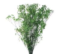 sourcing map Artificial Dried Baby's Breath Flowers 17 Inch Gypsophila Green Natural Baby's Breath Branches for Wedding Party Home Decoration 1 Pcs