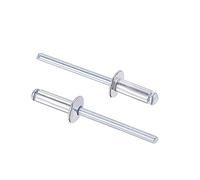 sourcing map Blind Rivets, Aluminum Pull Rivets Core Decoration Rivets 5mm Diameter 13mm Grip Length Silver Tone, 60pcs