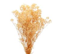 sourcing map Dried Baby's Breath Flowers 17 Inch Gypsophila White Natural Baby's Breath Branches for Wedding Party Home Decoration 1Pcs