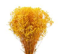 sourcing map Dried Baby's Breath Flowers 17 Inch Yellow Natural Baby's Breath Branches for Wedding Party Home Decoration 2 Pcs