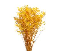sourcing map Dried Baby's Breath Flowers 17 Inch Yellow Natural Baby's Breath Branches for Wedding Party Home Decoration 1 Pcs