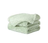 sourcing map Flannel Fleece Bed Blankets, Soft Warm Microfiber Blanket, Mesh Fuzzy Plush 330GSM Lightweight Decorative Solid Blankets for Bed Pale Green 70 x 100cm