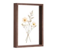 sourcing map Floating Picture Frame 20x30cm, Double Glass Pressed Flower Photo Frame with Wooden Border, Rustic Wall or Tabletop Display for Photos Postcards Home Decor Gift, Walnut Color