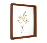 sourcing map Floating Picture Frames, 10.7x12.7/27x32cm Wooden Pressed Flower Frame Double Acrylic Pressed Flower Picture Frames Wall Tabletop Display for Photos Postcards, Walnut Color