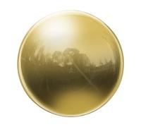 sourcing map Gazing Ball 4 Inch 100mm Reflective Sphere Polished Hollow Ball, Stainless Steel Gazing Globe Mirror Ball for Home Garden Outdoor Decoration, Gold Tone