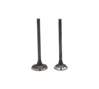sourcing map Metal Motorcycle Motorbike Engine Motor Exhaust Intake Valve