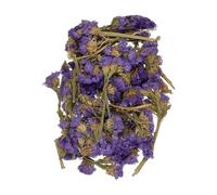 sourcing map Natural Dried Flower Set, Dried Pressed Flowers Dry Leaves Bulk Natural Plants Kit Dried Flower Bouquets for Scrapbooking Crafts Resin Jewelry Candle (Forget-me-not)