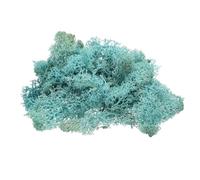 sourcing map Preserved Reindeer Moss, 4 OZ Fake Moss for Crafts Artificial Dried Moss for Decoration, Craft, Terrariums, Potted Plants, Centerpieces Fairy Gardens (Blue)