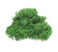sourcing map Preserved Reindeer Moss, 4 OZ Fake Moss for Crafts Artificial Dried Moss for Decoration, Craft, Terrariums, Potted Plants, Centerpieces Fairy Gardens (Green)