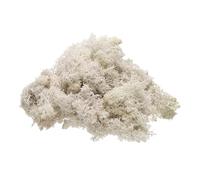 sourcing map Preserved Reindeer Moss, 4 OZ Fake Moss for Crafts Artificial Dried Moss for Decoration, Craft, Terrariums, Potted Plants, Centerpieces Fairy Gardens (Creamy White)