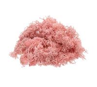 sourcing map Preserved Reindeer Moss, 4 OZ Fake Moss for Crafts Artificial Dried Moss for Decoration, Craft, Terrariums, Potted Plants, Centerpieces Fairy Gardens (Light Pink)