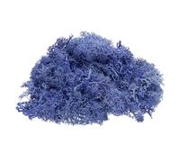 Sourcing Map Preserved Reindeer Moss, 4oz Purple Fake Moss for Crafts, Terrariums, Potted Plants, Centerpieces, Fairy Gardens