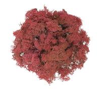 sourcing map Preserved Reindeer Moss, 7oz Fake Moss for Crafts Artificial Dried Moss for Decoration Terrariums Potted Plants, Dark Red