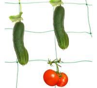 sourcing map Trellis Netting for Climbing Plants 3 x 6ft 27 Strands Heavy Duty Garden Trellis Netting Polyethylene Plant Support Net with 4" x 4" Mesh for Fruits Vegetables Cucumber