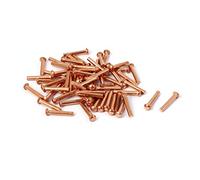 Sourcingmap 13mm Length 2mm x 12mm Round Head Copper Solid Rivets Fasteners Gold Tone 40 Pcs