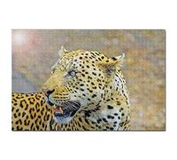 South Africa Jigsaw Puzzle 300 Piece South Africa Leopard Puzzle Game Artwork Travel Souvenir 38x26CM