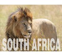 South Africa: The Future of Wine