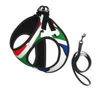 South African Flag Map Print Dog Harness Small Sized And Leash Set, Step In Soft Light Puppy Vest Breathable Mesh Pet Harness